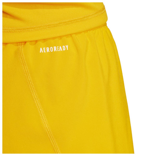 Adidas Ανδρικό κολάν τερματοφύλακα Tiro 25 Pro Goalkeeper Tights